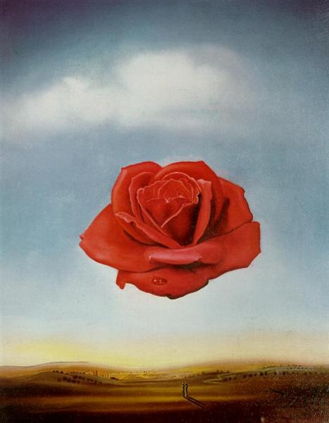 [Image: meditative-rose.jpg!Large.jpg]