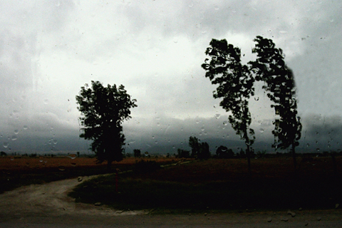 Rain, 2006 - Аббас Киаростами