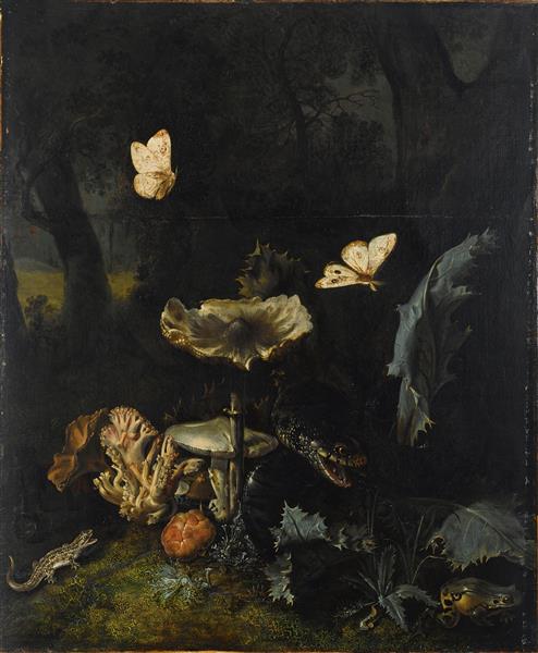 A Forest Floor Still Life with Various Fungi, Thistles, An Aspic Viper, Etc., 1660 - Отто Марсеус ван Скрик