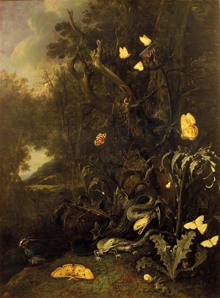 Plants and Insects, 1665 - Otto Marseus van Schrieck