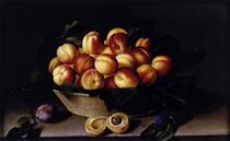 Basket of Apricots - Луїза Муайон