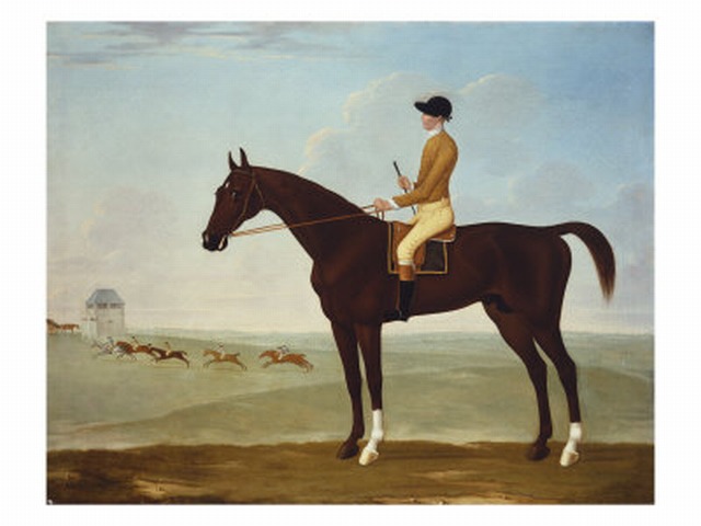 Chesnut Racehorse with Jockey up on Newmarket Heath 18th Century - Byam Shaw