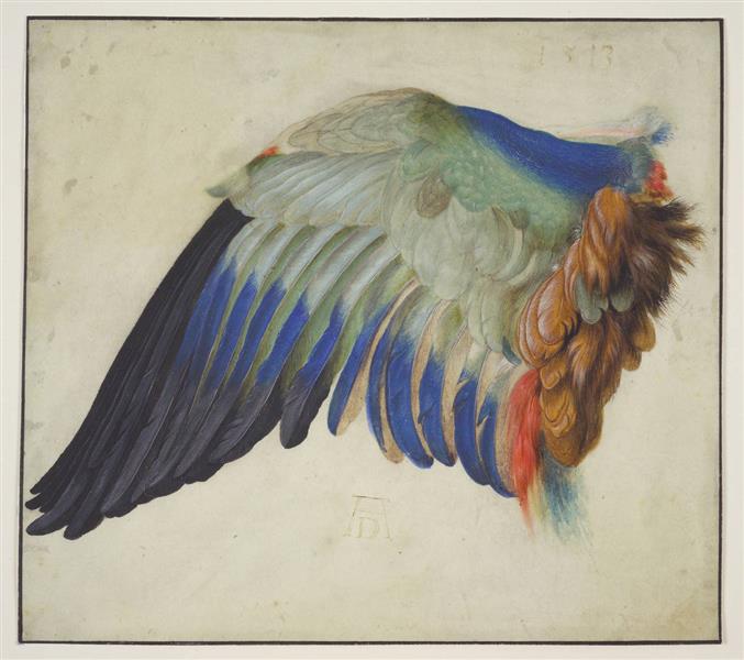 Blaurackenflügel(nach Dürer) - Ганс Гофман