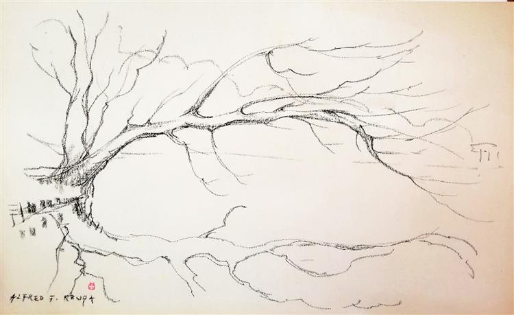 The tree, 2005 - Alfred Krupa