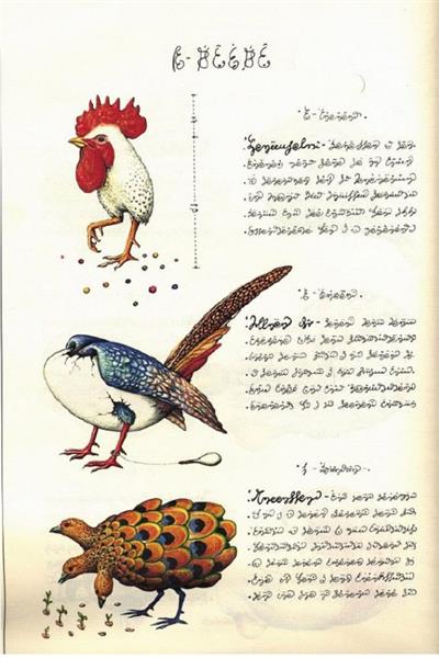 Birds from Codex Seraphinianus, 1981 - Luigi Serafini 