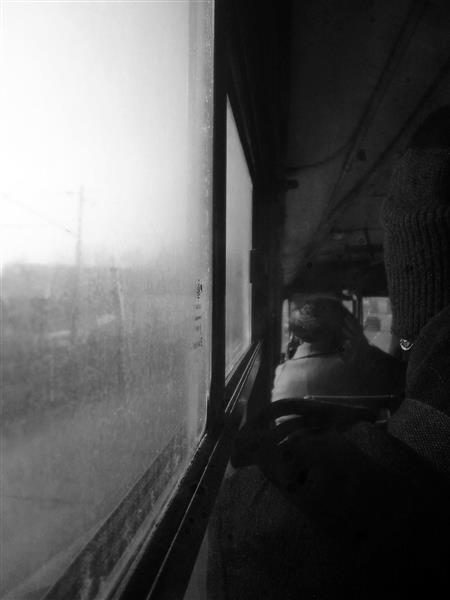 In the bus, 2016 - Alfred Freddy Krupa