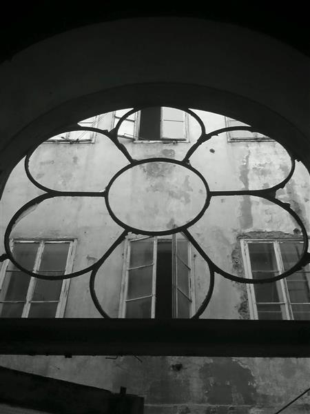 "Rose window", 2016 - Альфред Фредді Крупа