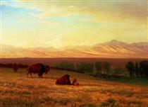 Buffalo on the Plains - 阿爾伯特·比爾施塔特