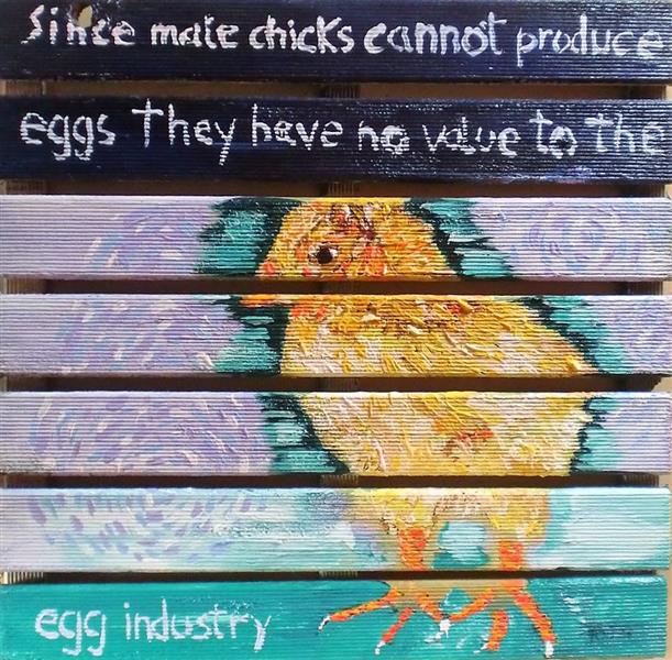 since male chicks cannot produce eggs they have no value to the egg industry, 2017 - Paulo Fontes