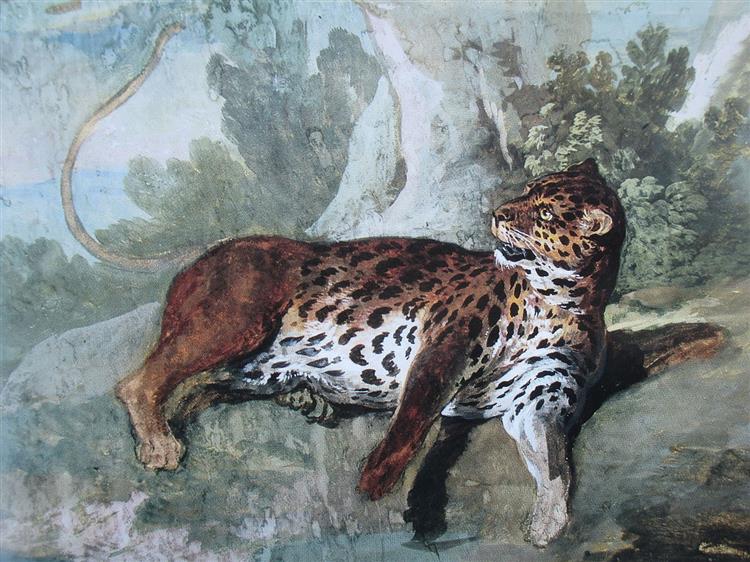 Study of a Leopard, c.1732 - Jean-Baptiste Oudry
