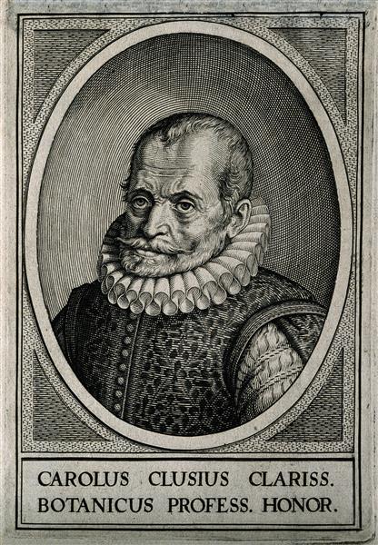 Charles De L'Écluse, c.1608 - Willem van Swanenburg