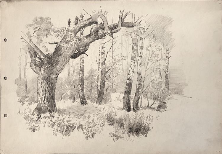 Forest landscape, c.1955 - Григорий Иванович Гавриленко