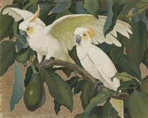 White Cockatoos In An Avocado Tree - Jessie Arms Botke