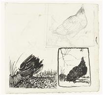 Sketches of a crow looking up - Jan Mankes