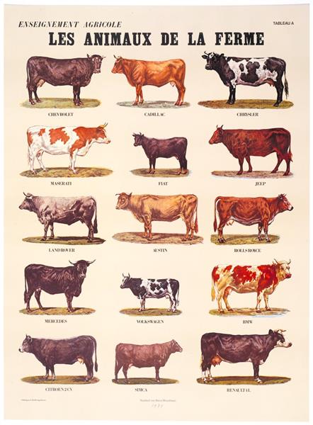 The Farm Animals, 1974 - Марсель Бротарс