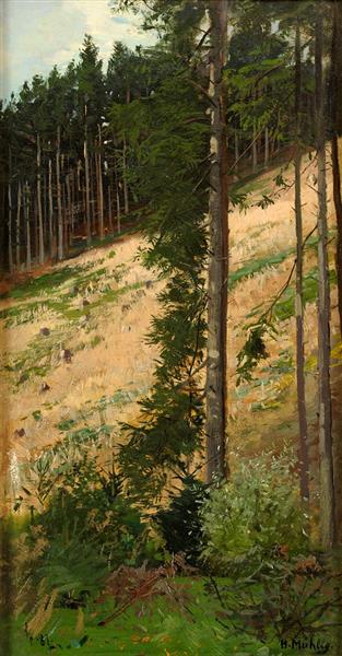 Forest section, 1887 - Hugo Mühlig