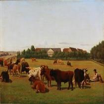 Pasture with cows backyard - Jørgen Sonne
