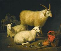 A Barn Interior with a Four-Horned Ram and Four Ewes and a Goat - Aelbert Cuyp