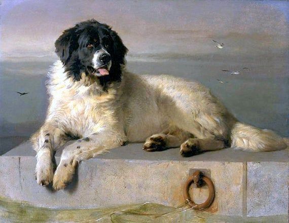 A Distinguished Member of the Humane Society, 1831 - Edwin Henry Landseer