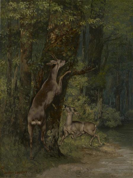 Deer in the Forest - Gustave Courbet