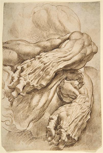 Anatomical Studies a Left Forearm in Two Positions and a Right Forearm - Pierre Paul Rubens
