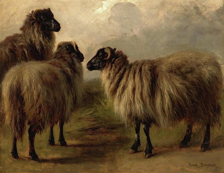 Three Wooly Sheep - Rosa Bonheur