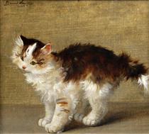 Kitten - Brunel Neuville