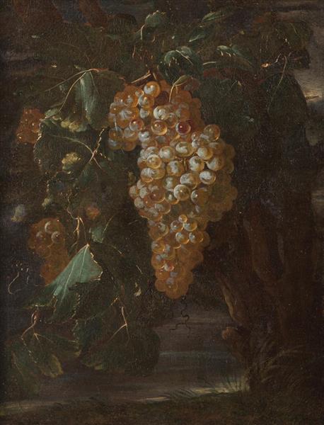 STILL LIFE WITH A BUNCH OF GRAPES - Giovanni Battista Ruoppolo