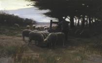 Sheep by a well - Herman Johannes van der Weele