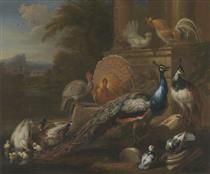 Peacocks, Doves, Turkeys, Chickens and Ducks by a Classical Ruin - Marmaduke Cradock