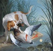 A Dog and a Wild Duck - Alexandre-Francois Desportes