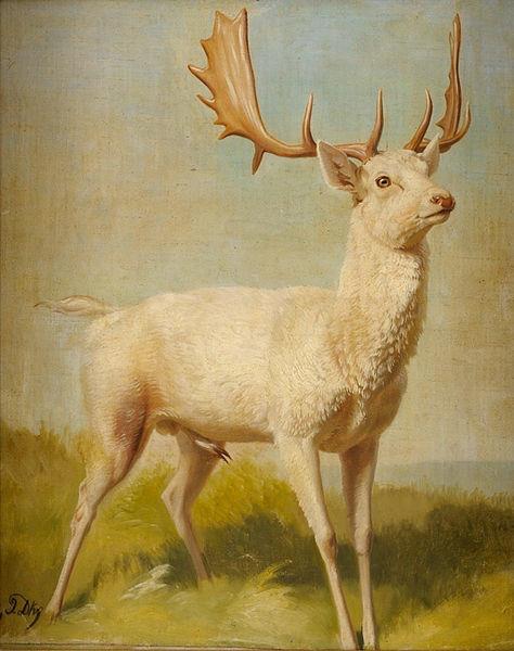 White deer - Johannes Christian Deiker