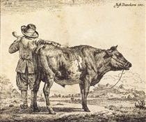 Bull - Адриан ван де Вельде