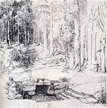 Forest Glade With A Walled Fountain By Which Two Men Are Sitting - Albrecht Durer