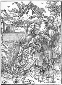 Holy Family with three Hares - Albrecht Durer