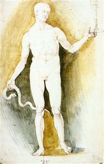 Male Nude with a Glass and Snake (Asclepius) - Albrecht Dürer