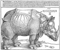 Rhinoceros - Albrecht Durer