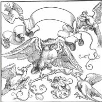 The owl in fight with other birds - Albrecht Durer