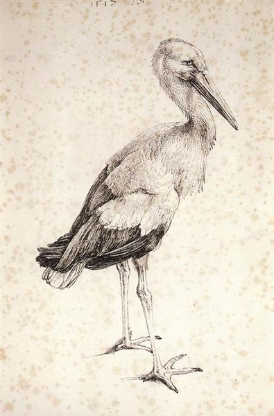 The Stork, 1515 - Альбрехт Дюрер