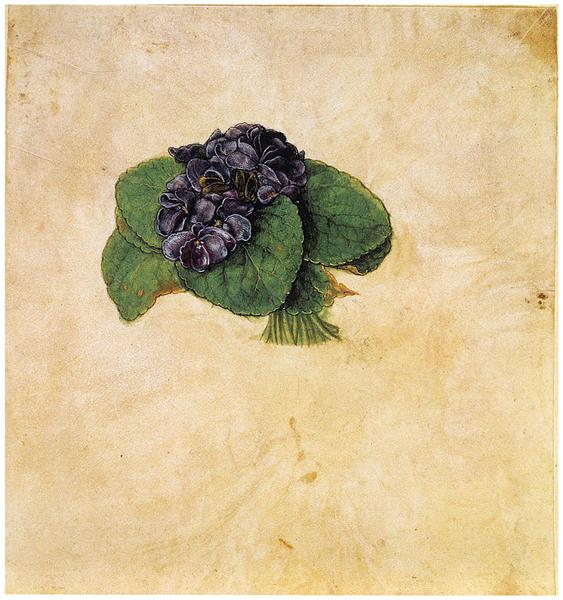 Violet Bouquet, c.1502 - Albrecht Durer