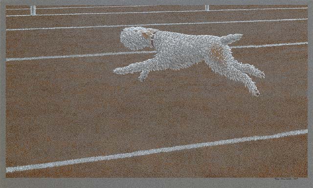 Running Dog, 1968 - Alex Colville