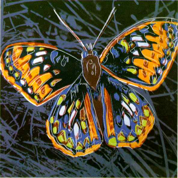 Butterfly - 安迪沃荷