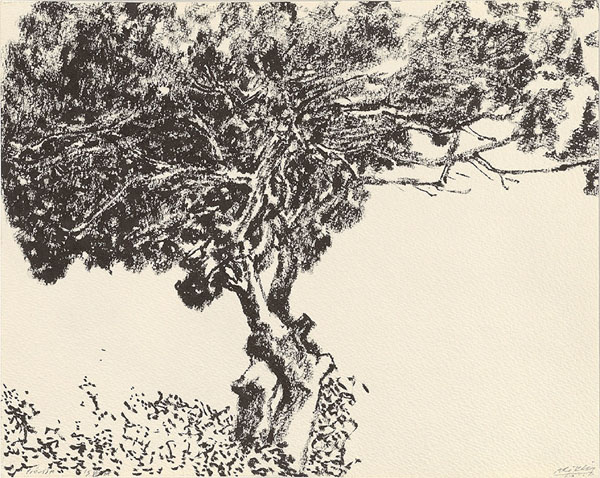 Pine Trees, 2004 - Avigdor Arikha