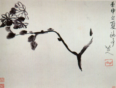 Chrysantheme, 1692 - Бада Шаньжэнь