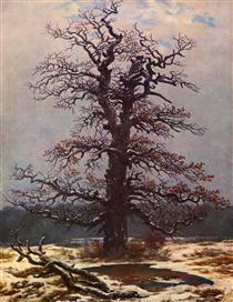 Oak Tree in the Snow - Caspar David Friedrich