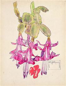 Cactus Flower - 查爾斯·雷尼·麥金托什