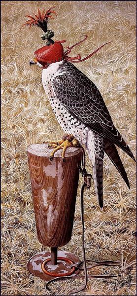 Lanner - Charles Tunnicliffe