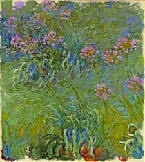 Agapanthus Flowers - Claude Monet