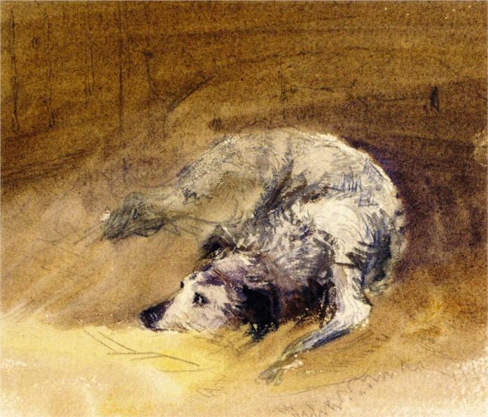 Study of a Dog, 1849 - David Cox