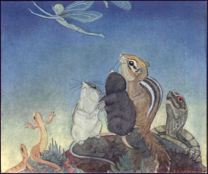 Illustration for Fairy Circus - Дороті Латроп